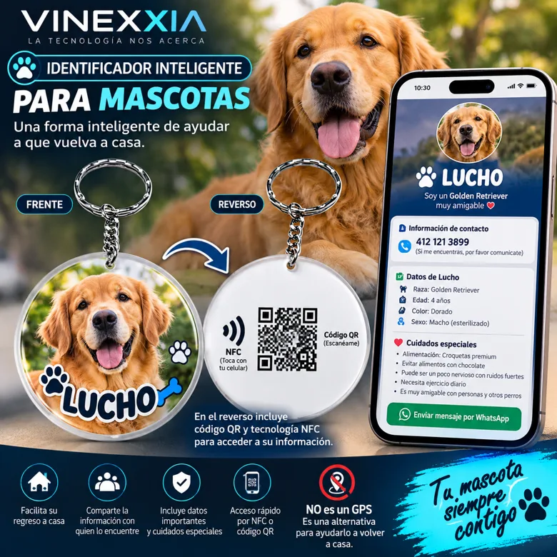 Ejemplo visual ilustrativo del servicio